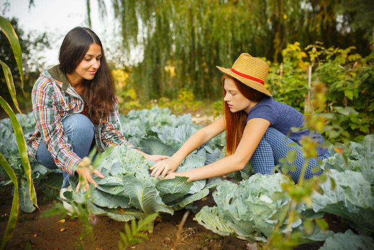 happy-young-family-picking-berries-garden-outdoors-love-family-lifestyle-harvest-autumn-concept 1 web