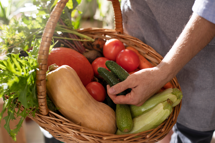 man-farming-vegetables-his-indoor-garden 1 web